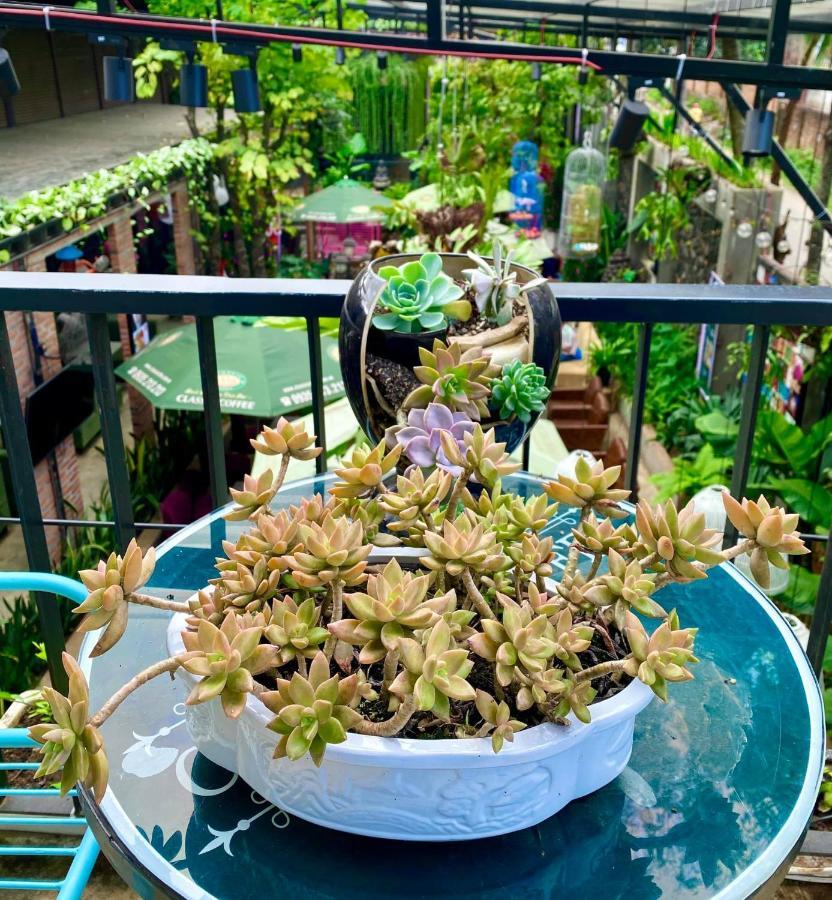 Jrai Homestay プレイク エクステリア 写真